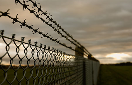 malatya dikenli tel,